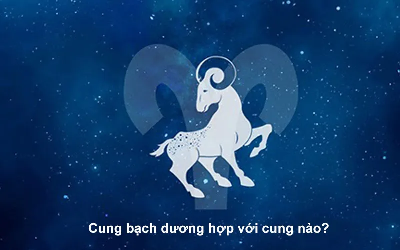 bach duong hop voi cung nao giai ma muc do tuong hop chi tiet