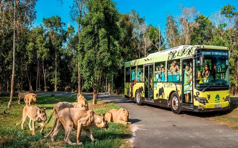 kinh nghiem du lich phu quoc cho gia dinh tron ven tu a den z