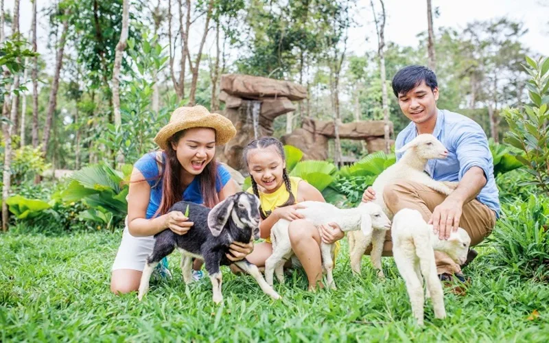 kinh nghiem du lich phu quoc cho gia dinh tron ven tu a den z