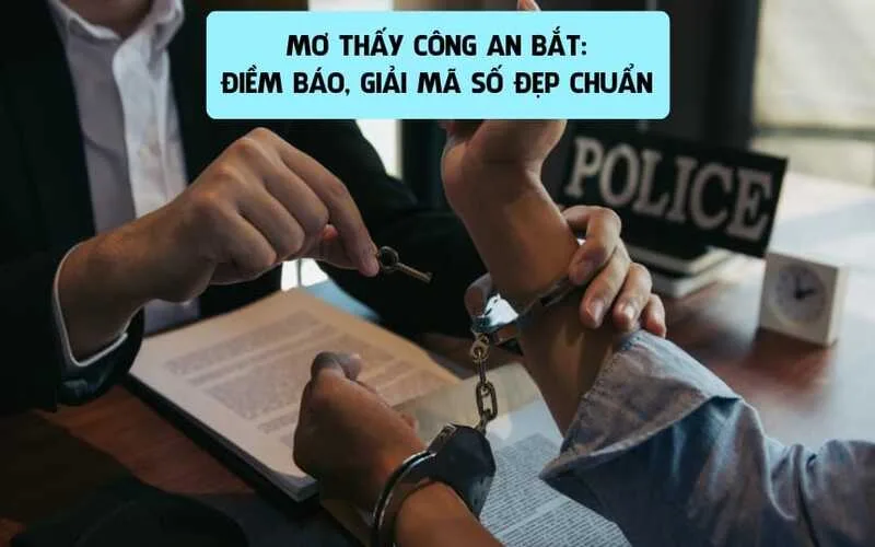 mo bi cong an bat la diem gi giai ma thong diep an sau giac mo